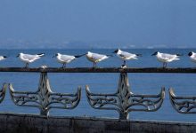 Фото - В Альянсе турагентств сочли перспективным развитие круизов на Каспийском море